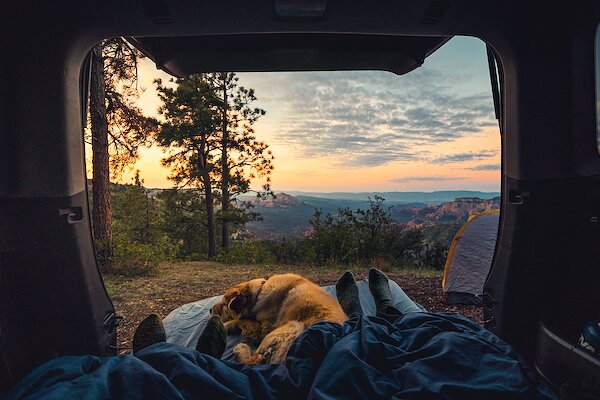 Campings