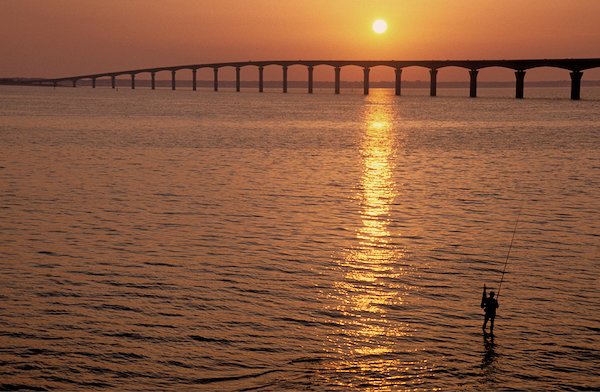 Charente-Maritime - Locations de vacances et appartements